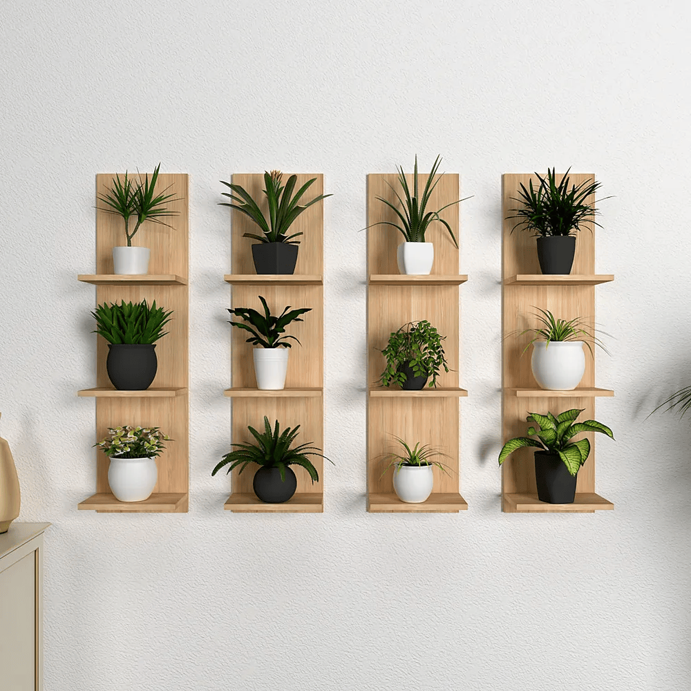 Plant Shelves
